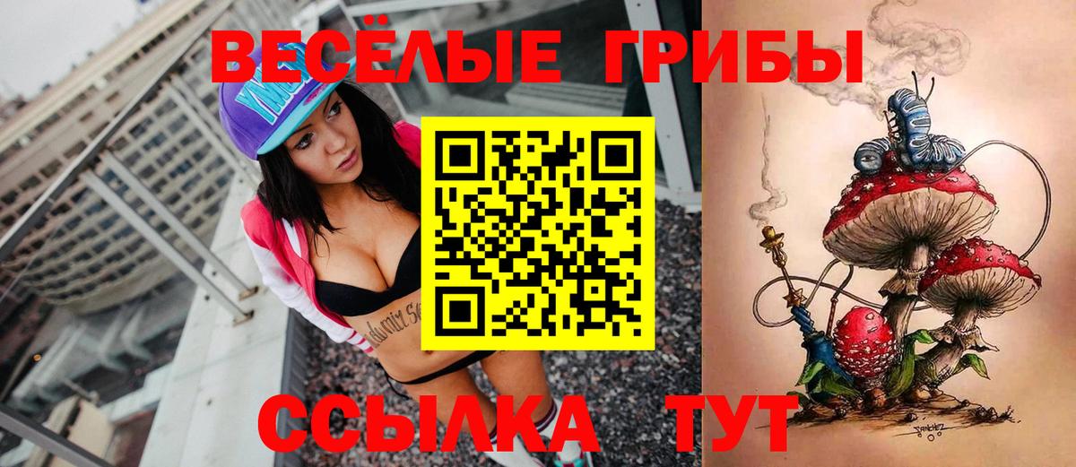 Карасук  Псилоцибиновые грибы мицелий  Вход с VPN  Псилоцибиновые грибы мухоморы 