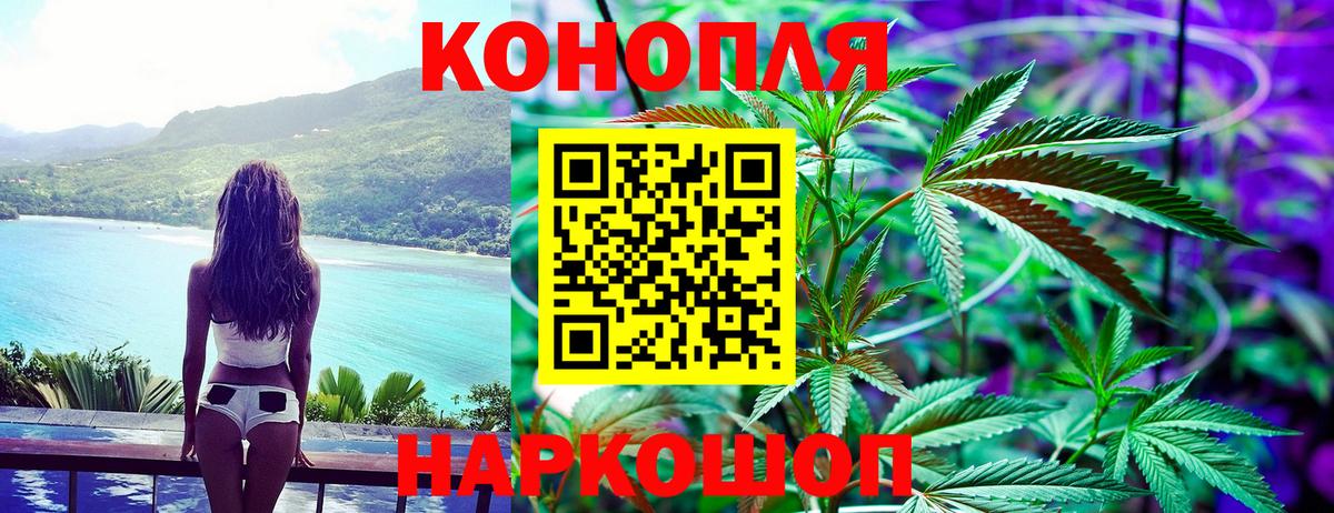 Бошки марихуана конопля  Вход с VPN  МАРИХУАНА марихуана  Карасук 